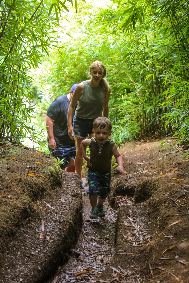 A guide and a guest walking a muddy trail through bamboo